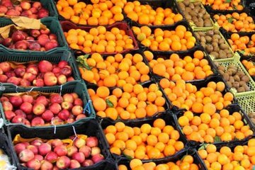 سیب و پرتقال ۲۰ تا ۳۰ درصد زیر قیمت روز عرضه می‌شود 