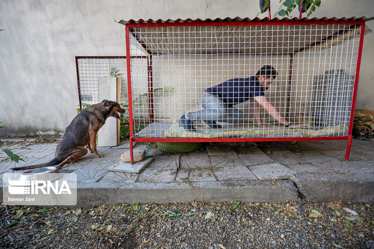 An advocate for animals cares for a disabled dog An advocate for animals cares for a disabled dog
