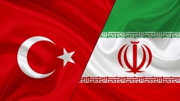خرما ظرفیتی مهم برای توسعه تجارت ایران و ترکیه است