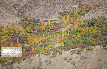 Autumn beauties in Iran