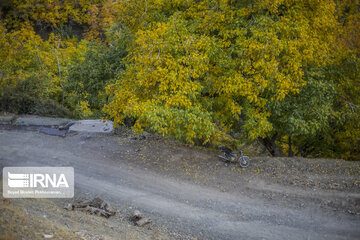 Autumn beauties in Iran