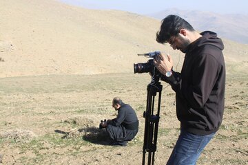 «کپه‌کاری» در مراتع روستایی مهاباد