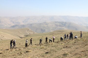 کپه‌کاری و بذرکاری در ۲۰۰ هکتار از مراتع آشتیان آغاز شد