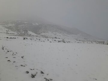 تصویرهایی از برف پائیزی در کالپوش