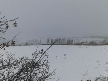 تصویرهایی از برف پائیزی در کالپوش