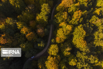 Autumn of Iran's Hyrcanian forests