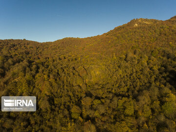 Autumn of Iran's Hyrcanian forests