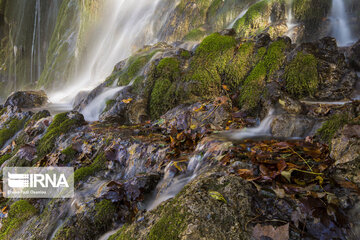 Autumn of Iran's Hyrcanian forests