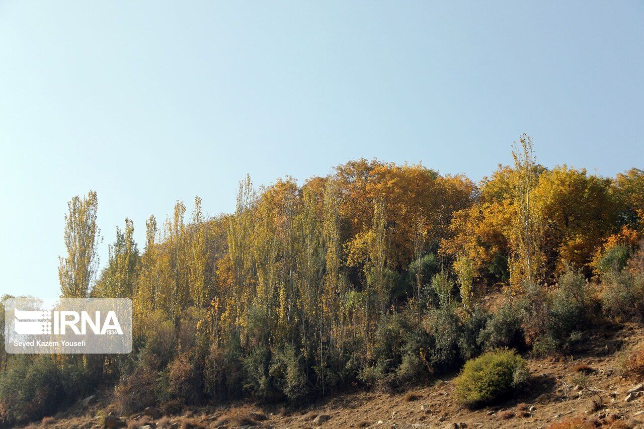 Autumn swaggers into a village in northwest Iran