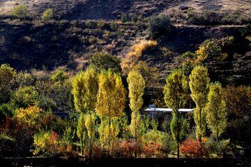 Beauties of autumn