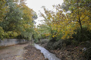 La hermosa lluvia de otoño en Shiraz