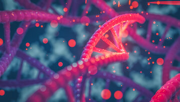 تصویربرداری سه‌بعدی با دقت یک نانومتر از رشته‌های DNA