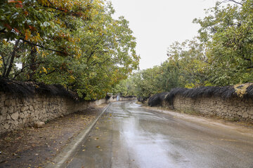 بارش باران پاییزی در شیراز