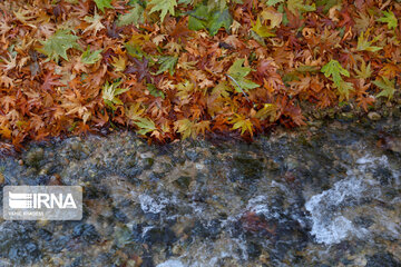 Autumn beauties of Mahnan Village in NortheEast of Iran