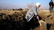 آسیای مرکزی در مسیر بهبود مدیریت آب و دور شدن از تنش‌های آبی
