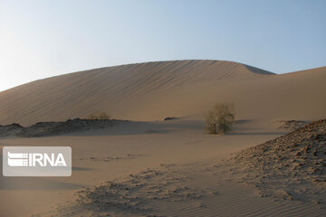 Sand hills of Rigan in southern Iran