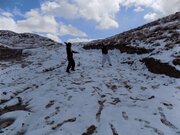 برف و سرما  مدارس ابتدایی در چند شهر استان اردبیل را تعطیل کرد