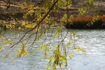 خودنمایی خزان در مهاباد