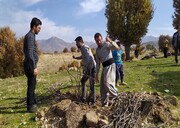 طرح توسعه جنگل در ۳۲ روستای بانه اجرا می‌شود