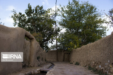 Garden alleys in Fall in Semnan; center Iran