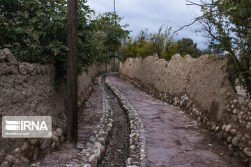 Garden alleys in Fall in Semnan; center Iran