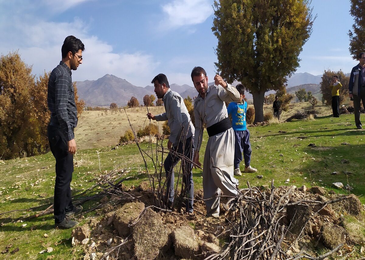 طرح توسعه جنگل در ۳۲ روستای بانه اجرا می‌شود