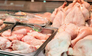 بیش از ۳۳۰۰ تن مرغ منجمد مازاد بر تولید در فارس خریداری شد