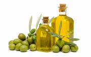 روغن زیتون بخورید تا فراموشی نگیرید
