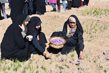 جشنواره زعفران بهاباد