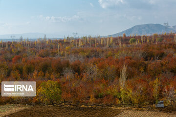 Nature of fall in northeastern Iran