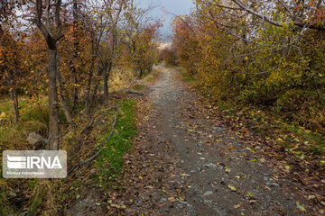 Nature of fall in northeastern Iran