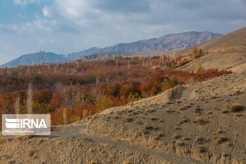 Nature of fall in northeastern Iran