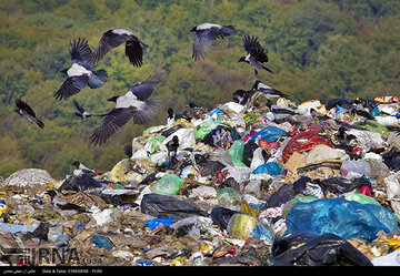 زباله‌ها تا چند سال آینده هیرکانی را نابود می‌کنند