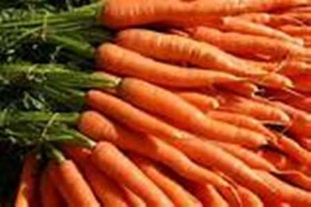 کاهش ۳۰ درصدی صادرات هویج در ماه‌های اخیر