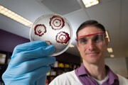 ابداع نژاد جدیدی از آنتی بیوتیک برای از بین بردن بیوفیلم باکتری‌ها