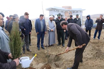 ۳۱۲ هزار و ۵۰۰ نهال در خراسان شمالی کاشته‌ شد