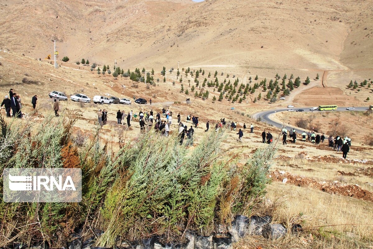 دوستداران طبیعت در مهاباد ۱۵۰۰ اصله نهال غرس کردند 