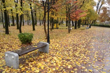 جلوه‌های فصل زیباترین رنگ‌ها در رشت