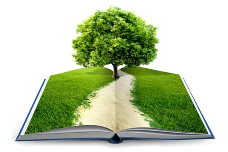 22 جامعة ايرانية ضمن الجامعات الأكثر خضرة في العالم
22 جامعة ايرانية ضمن الجامعات الأكثر خضرة في العالم