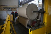 استاندار: از ساخت کارخانه کاغذ در همدان حمایت می‌کنیم