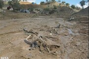 ۶۰ میلیارد ریال خسارت سیلاب به عشایر استان ایلام 