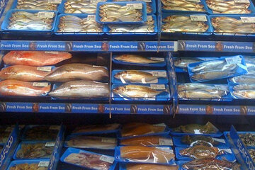 ۷۸ تُن ماهی منجمد از کردستان صادر شد