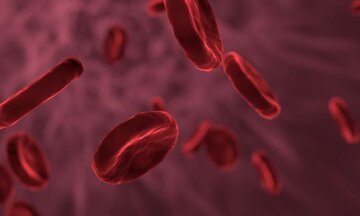 سومین «بانک سلول‌های بنیادی خون قاعدگی» دنیا در ایران راه‌اندازی شد