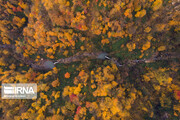 Iran's Hyrcanian forests in Autumn 