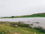 تالاب آب زالو چشم اندازی زیبا در طبیعت اندیکا تالاب آب زالو چشم اندازی زیبا در طبیعت اندیکا