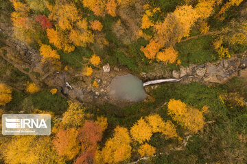 Autumn in Iran's Hyrcanian forests