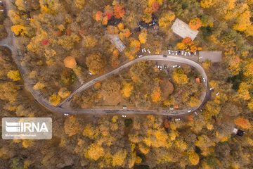 Autumn in Iran's Hyrcanian forests