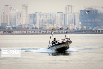 Tehran's Chitgar Lake migratory birds