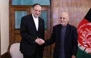 New Iranian Ambassador submits credentials to Afghan Pres.
