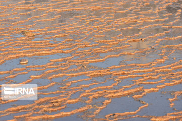 Badab-e Surt, natural site in northern Iran